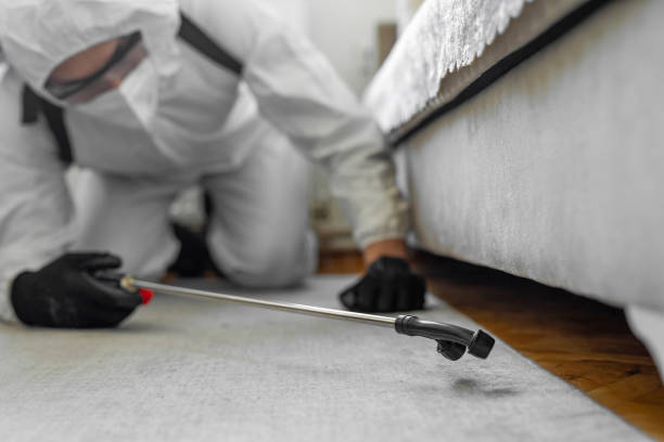 Professional Bed Bug Control technician working in Immokalee, FL